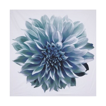 Cotton Percale Shower Curtain, 72 Cotton Percale Showe...